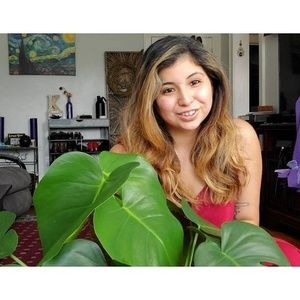 Meet your Posher, Nesly